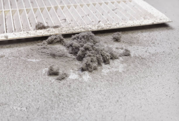 Best Affordable Duct Cleaning Services  in Prieton, NC