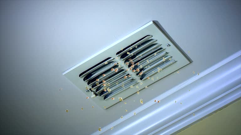Best General Air Duct Cleaning  in Prieton, NC
